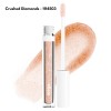 Wet n wild lip gloss 1114503 Crushed Diamonds
